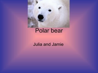 Polar bear Julia and Jamie  