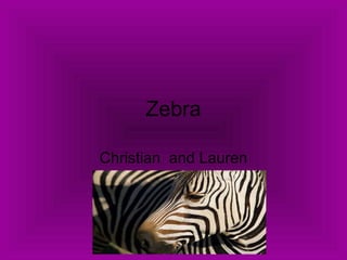 Zebra Christian  and Lauren 