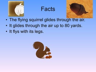 Facts The flying squirrel glides through the air. It glides through the air up to 80 yards. It flys with its legs. 