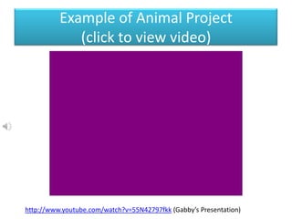 Example of Animal Project
(click to view video)
http://www.youtube.com/watch?v=55N42797fkk (Gabby’s Presentation)