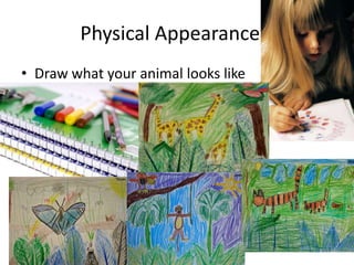 Physical Appearance
• Draw what your animal looks like