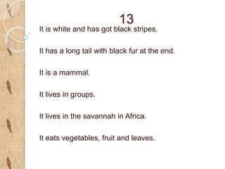 13
It is white and has got black stripes.
It has a long tail with black fur at the end.
It is a mammal.
It lives in groups.
It lives in the savannah in Africa.
It eats vegetables, fruit and leaves.
 