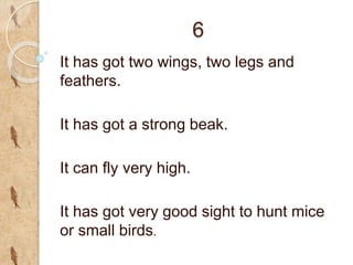 6
It has got two wings, two legs and
feathers.
It has got a strong beak.
It can fly very high.
It has got very good sight to hunt mice
or small birds.
 