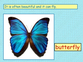 INTRO ANIMAL RIDDLES - GREAT ICEBREAKER FOR YOUR CLASS | PPT | Birds | Pets