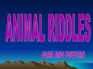 ANIMAL RIDDLES JOAN AND SOUFIAN 