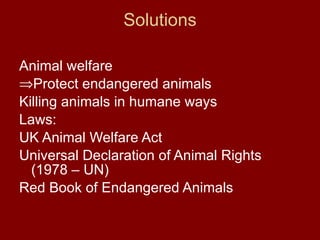 Solutions Animal welfare Protect endangered animals Killing animals in humane ways Laws:  UK Animal Welfare Act Universal Declaration of Animal Rights (1978 – UN) Red Book of Endangered Animals 