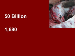 50 Billion  1,680   