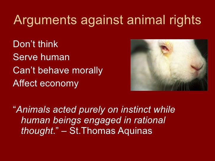 Animal Rights