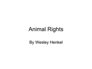 Animal Rights

By Wesley Henkel
 