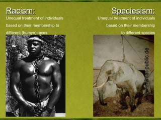 Racism: Speciesism: Unequal treatment of individuals  based on their membership to different (humyn) races Unequal treatment of individuals based on their membership to different species 