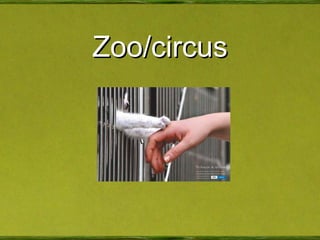 Zoo/circus 