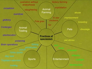 horse sports fishing hunting Trophäen   sammeln poach persecution dog race breeding … . imprisonment dressage abuse pet stores slaughtering castration without anaesthesia  Foie gras exploitation fur factory farming to sex chickens circusses zoo force sklavery bullfight dancing bear electrecution poisening Contergan overdose gluttony vivisektion Brain operations   Animal Testing Sports Entertainment Pets Animal Farming Practices of speciesism 