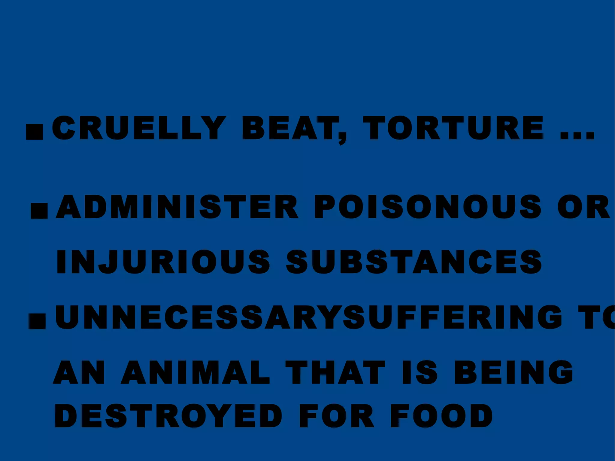 animal-rights-odp