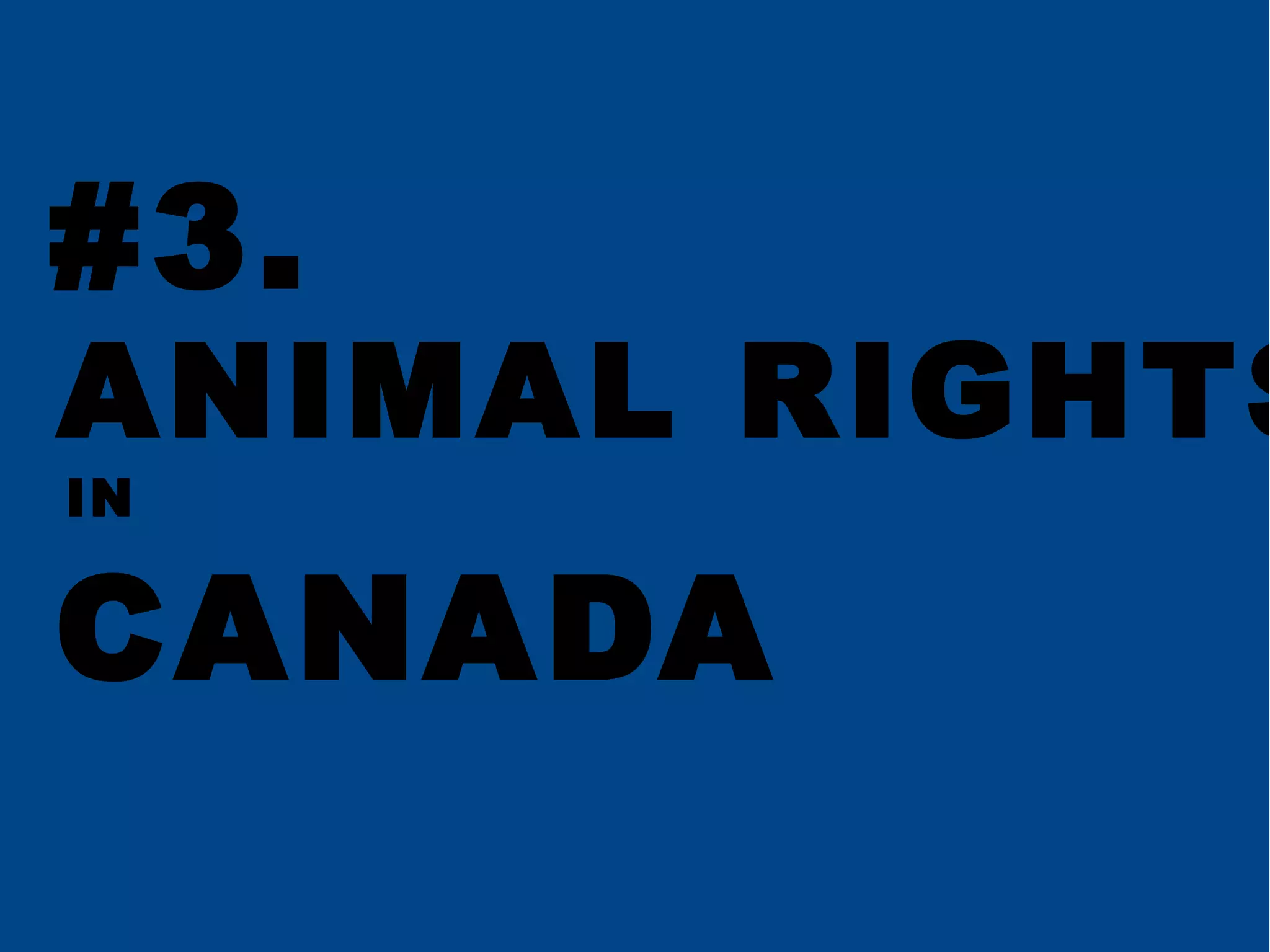 Animal rights | ODP