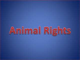 Animal rights | PPTX