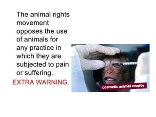 Animal rights | PPTX