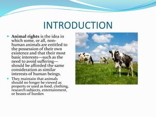Animal rights | PPTX