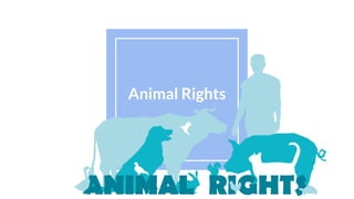 Animal Rights
 