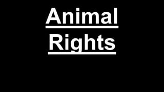 Animal
Rights
 