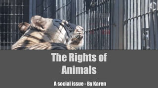 The Rights of
Animals
A social issue - By Karen
 