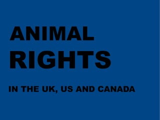 ANIMAL

RIGHTS
IN THE UK, US AND CANADA

 