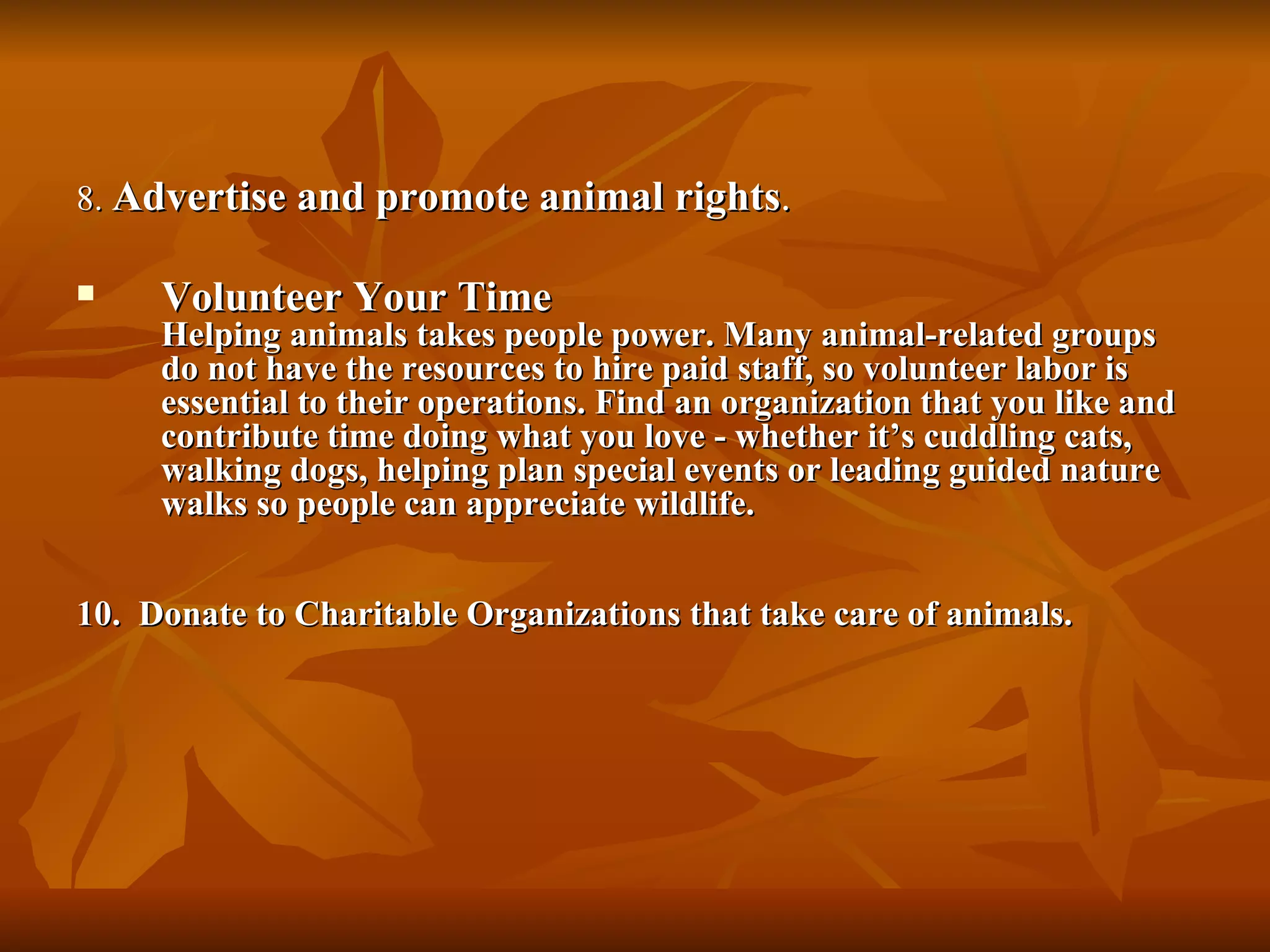 Animal rights lesson 2 | PPT