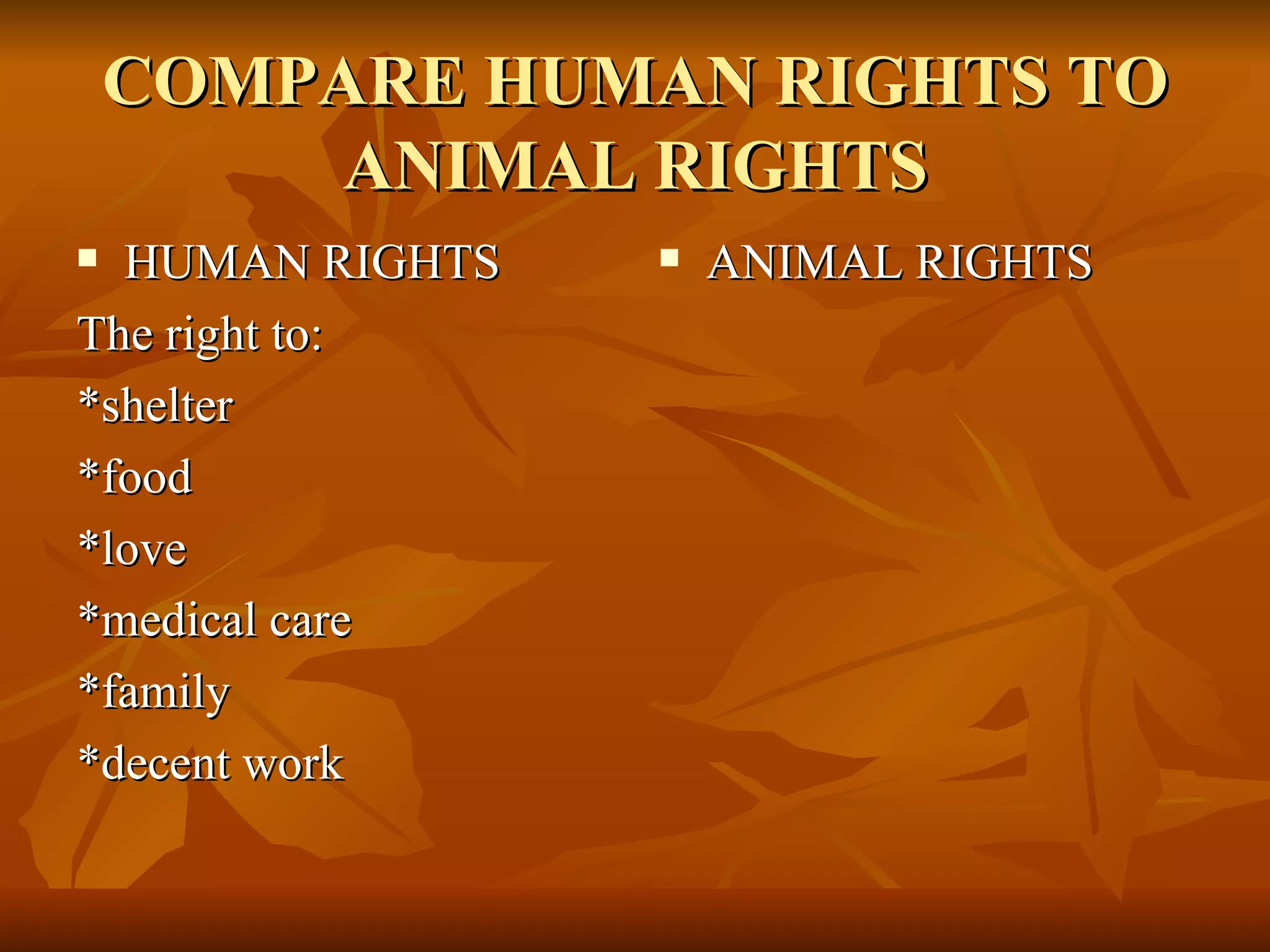 Animal rights lesson 2 | PPT