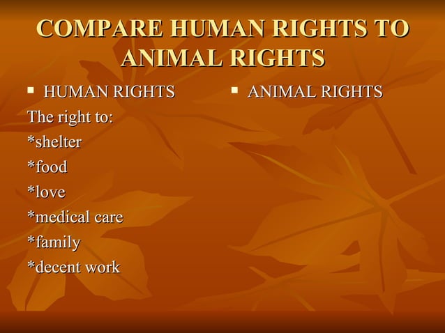 Animal rights lesson 2 | PPT