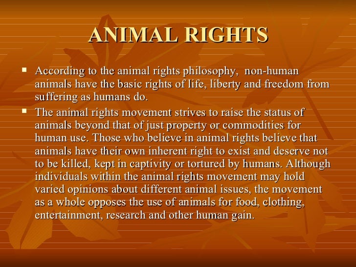 Animal Rights Philosophy