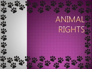 thesis statement animal rights