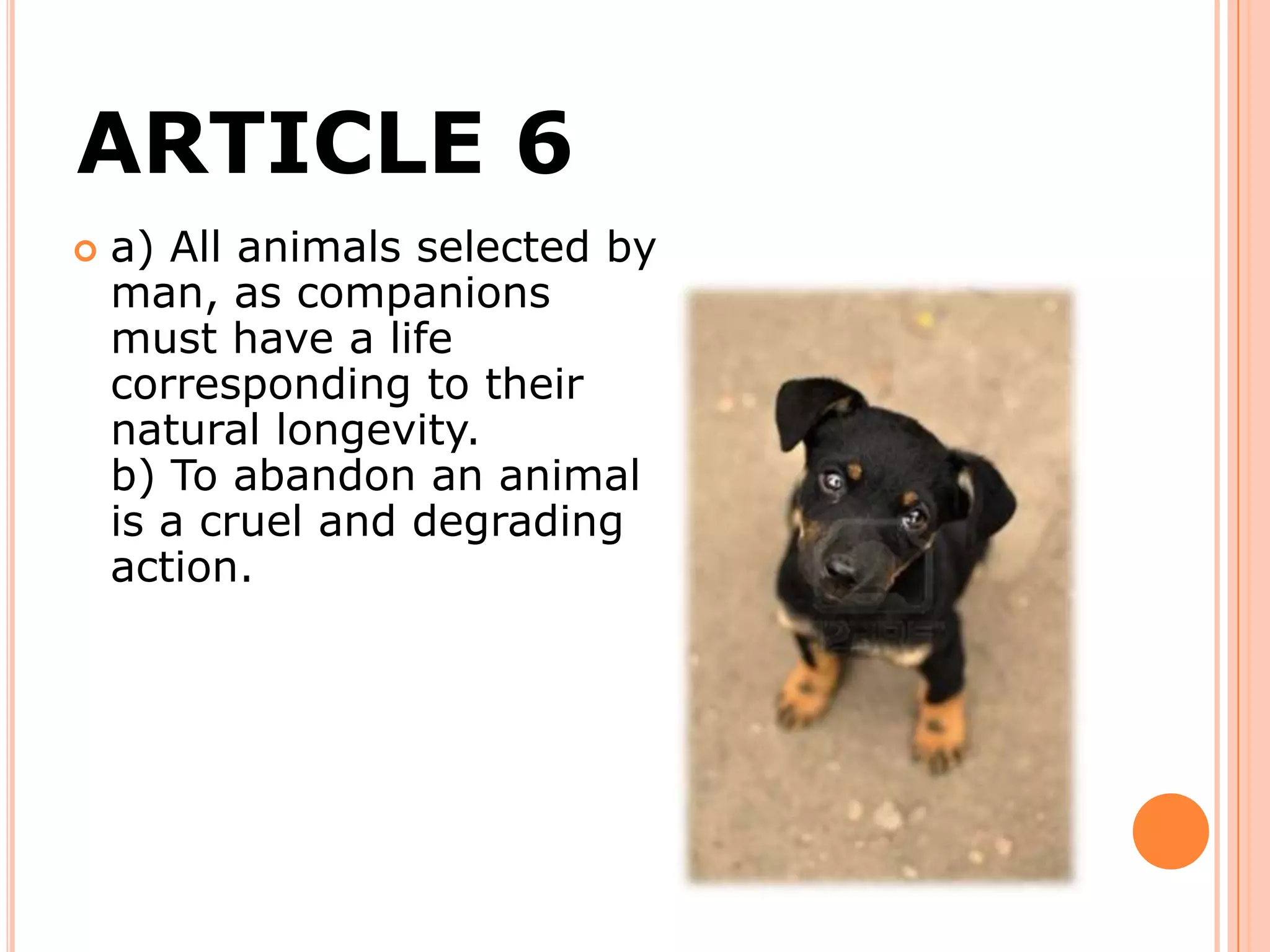 Animal rigths part 1 | PPTX