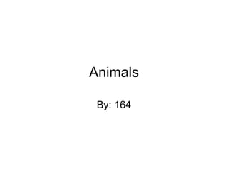 Animals By: 164 