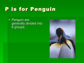 P is for Penguin  Penguin are generally divided into 6 groups. 