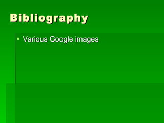 Bibliography Various Google images 