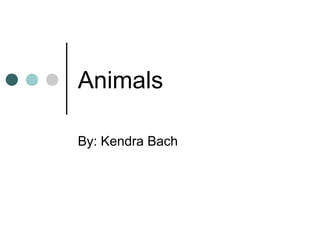 Animals  By: Kendra Bach 