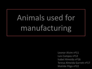 Animals used for manufacturing Leonor Alvim nº11 Luis Campos nº12 Isabel Almeida nº16 Teresa Almeida Garrett nº17 Matilde Pêgo nº22 