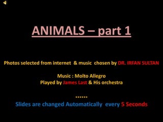 ANIMALS – part 1

Photos selected from internet & music chosen by DR. IRFAN SULTAN

                     Music : Molto Allegro
              Played by James Last & His orchestra

                             ******
    Slides are changed Automatically every 5 Seconds
 
