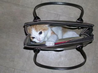 ?