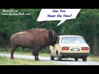 ?
