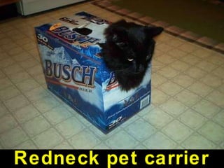 Redneck pet carrier 