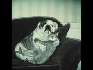 ?