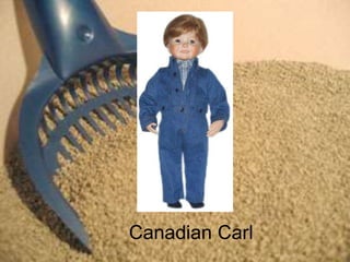 Canadian Carl
 