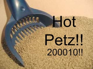 Hot
Petz!!
200010!!
 
