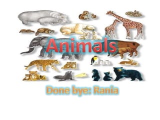 Animals Done bye: Rania 