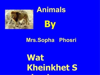 Animals B y Mrs.Sopha  Phosri Wat Kheinkhet School 
