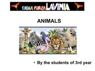 ANIMALS
• By the students of 3rd year
 