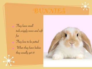 BUNNIES

• They have small
  tails,wiggly noses and soft
  fur
• They love to be petted
• When they have babies
  they usually get 15
 