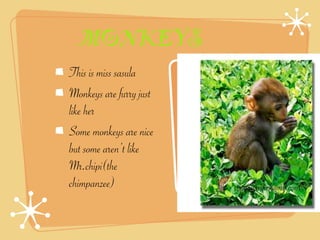 MONKEYS
This is miss sasula
Monkeys are furry just
like her
Some monkeys are nice
but some aren’t like
Mr.chipi(the
chimpanzee)
 