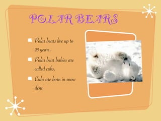 POLAR BEARS
Polar bears live up to
25 years.
Polar bear babies are
called cubs.
Cubs are born in snow
dens
 