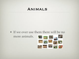 Animals Are A Renewable Resource
